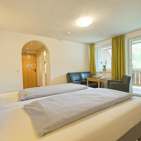 Отель Waldmann 3*